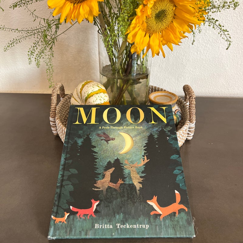 Moon: a Peek-Through Picture Book