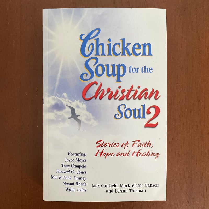 Chicken Soup for the Christian Soul 2