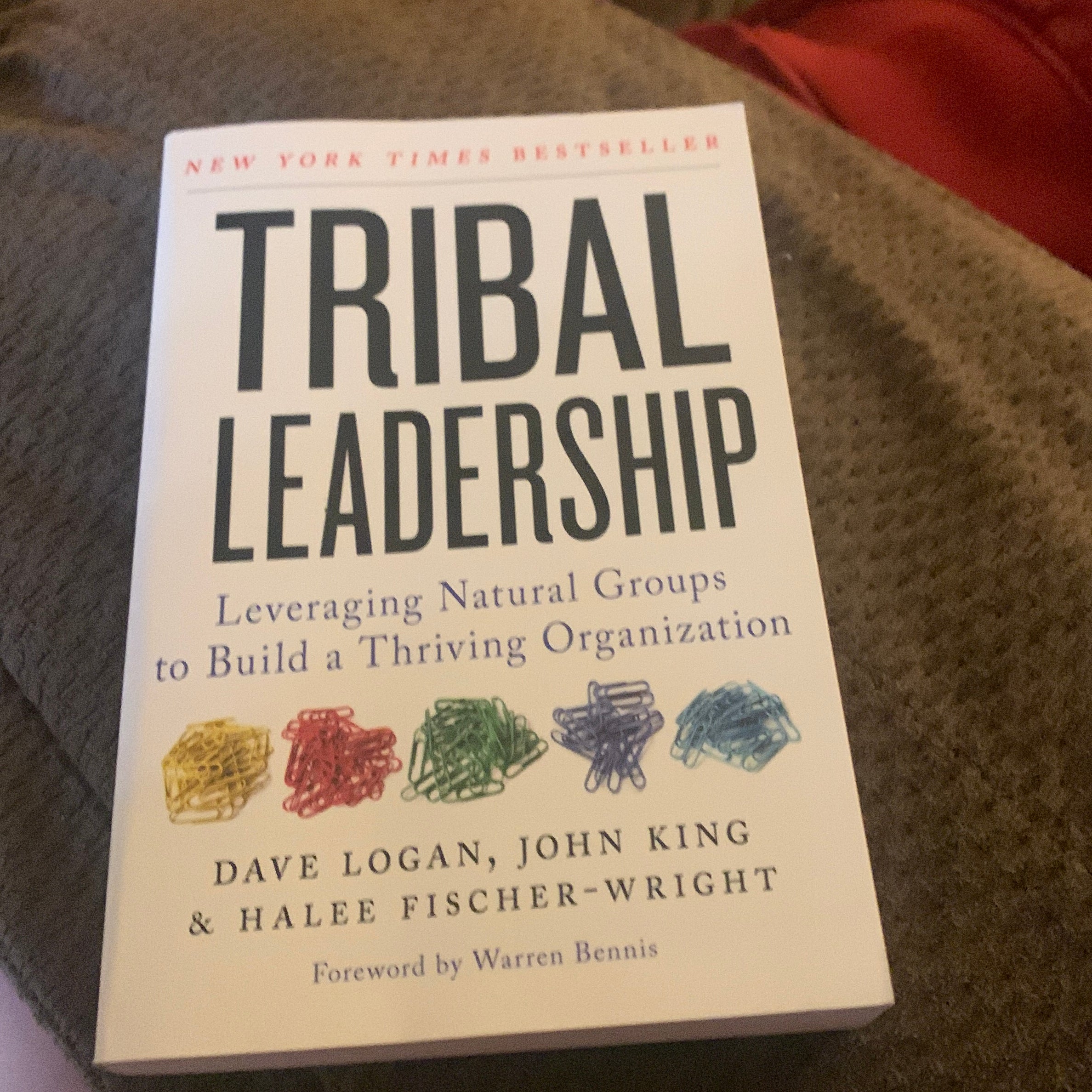 Tribal Leadership