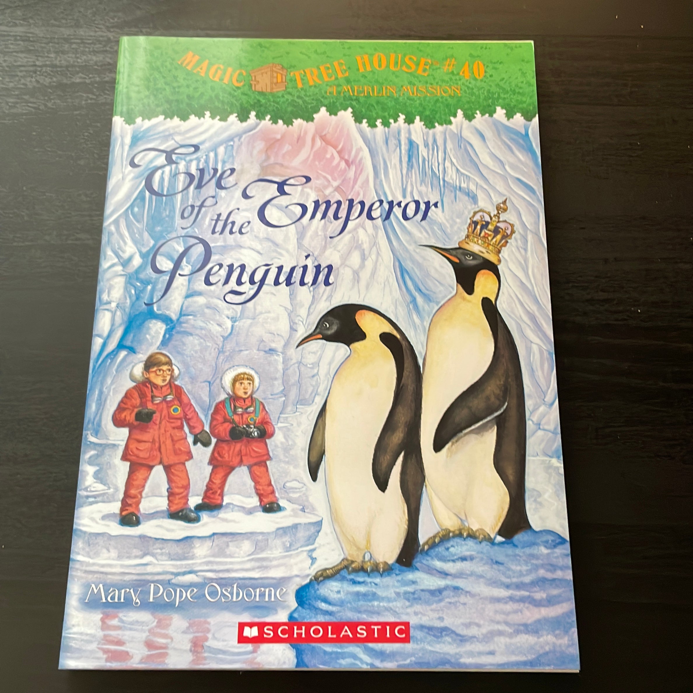 Eve of the Emperor Penguin