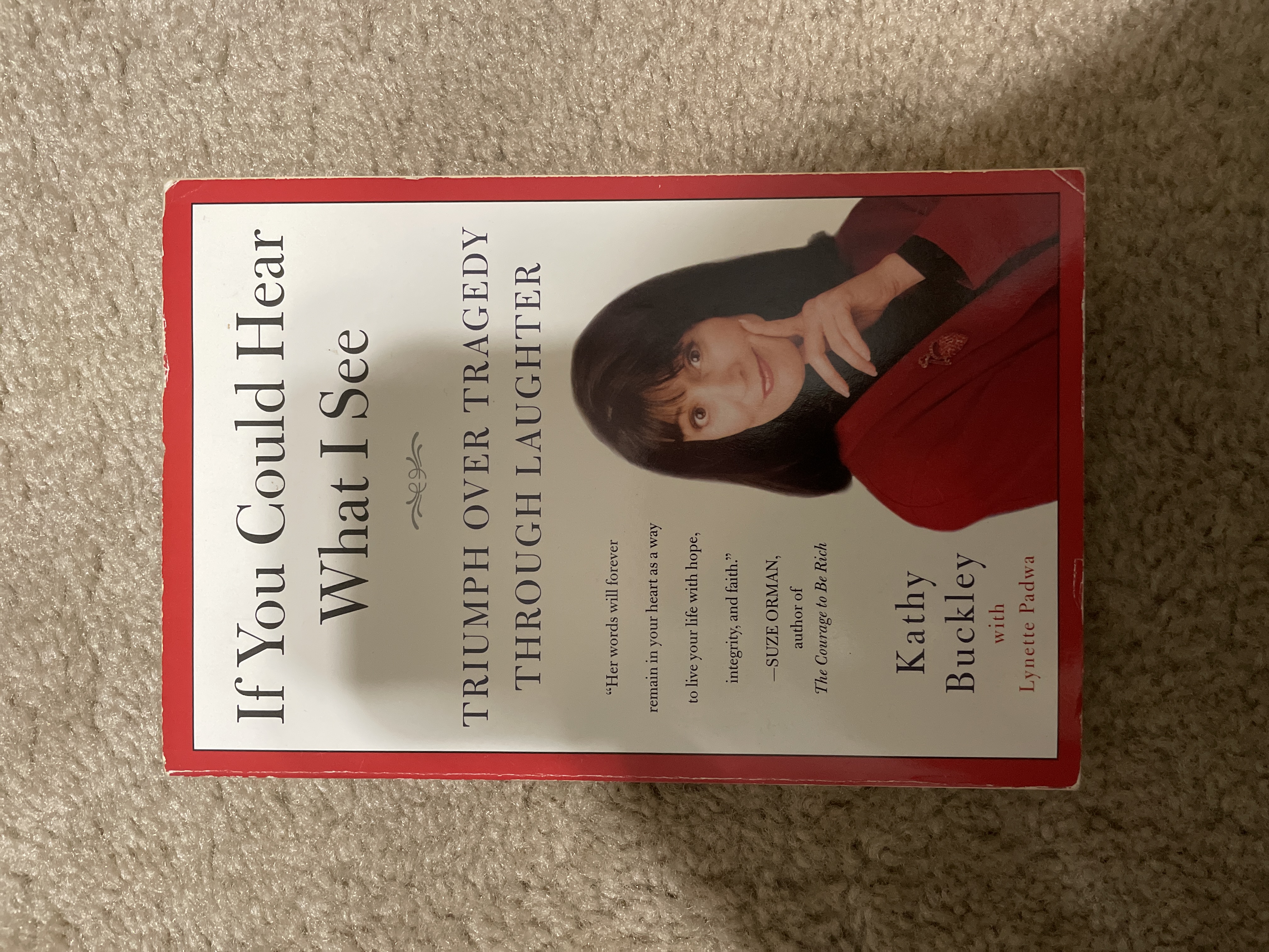 If You Could Hear What I See