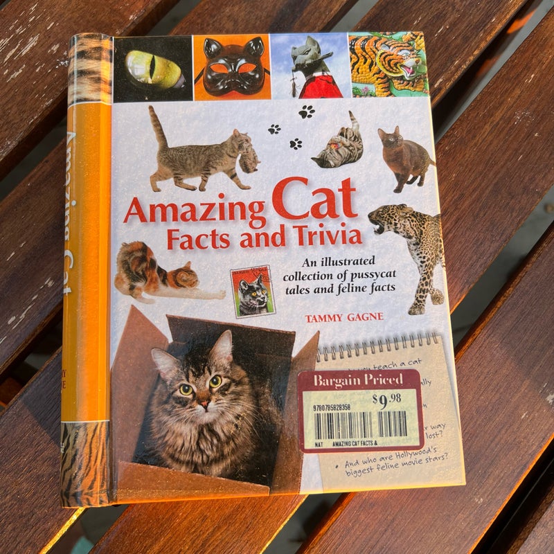 Amazing Cat Facts and Trivia