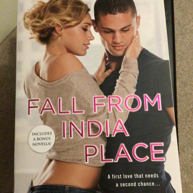 Fall from India Place