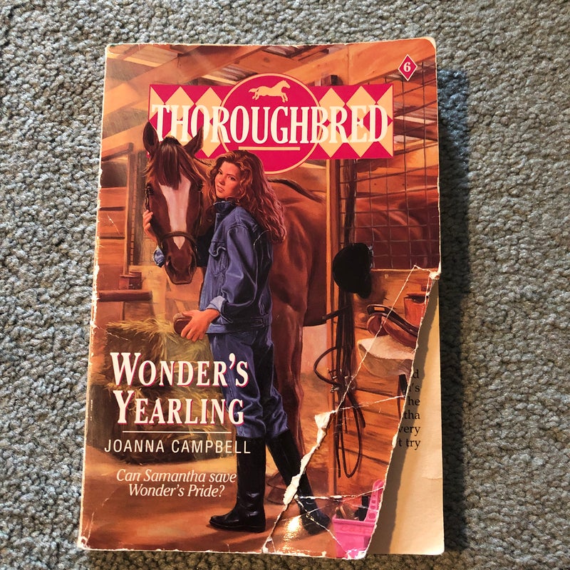 Thoroughbred: Wonder’s Yearling 