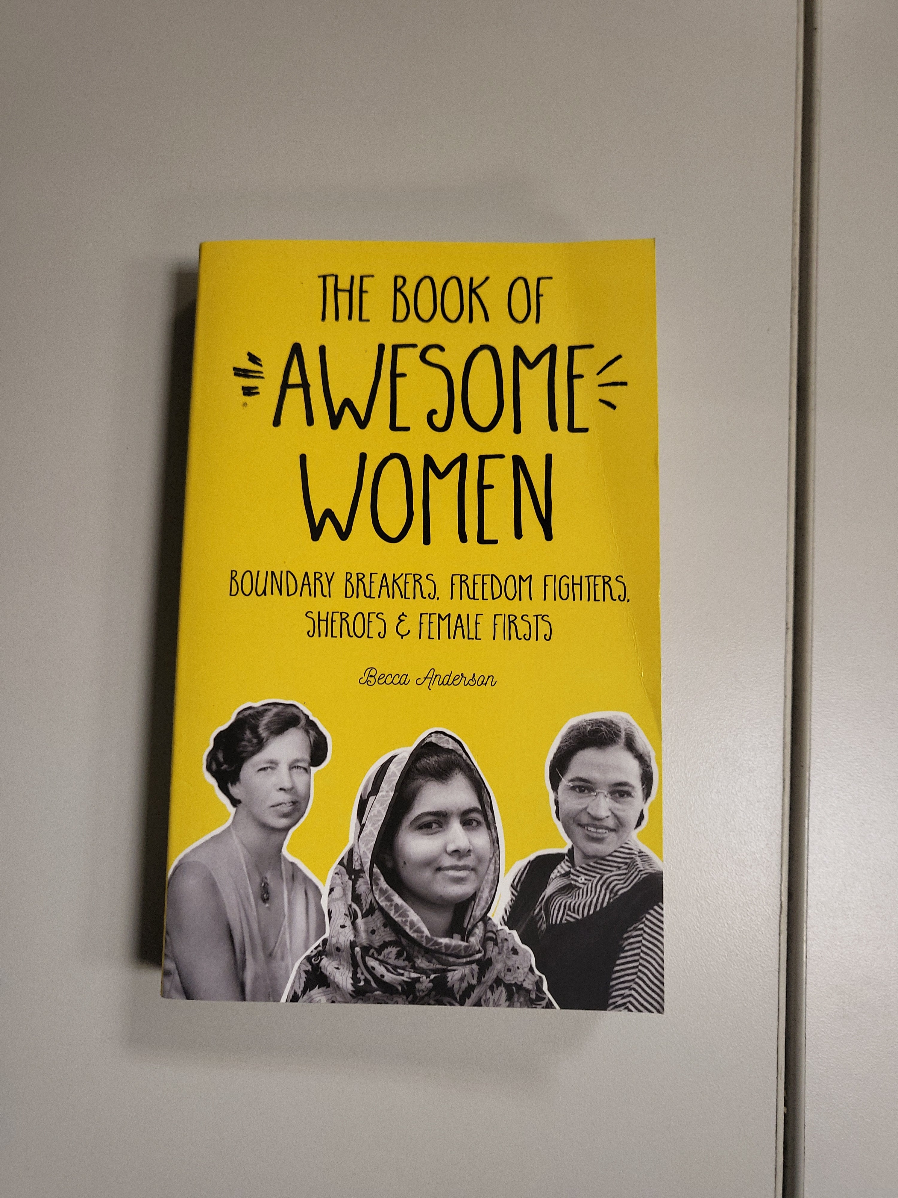 The Book of Awesome Women