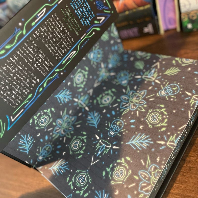 Neon Gods Bookish Box Special Edition