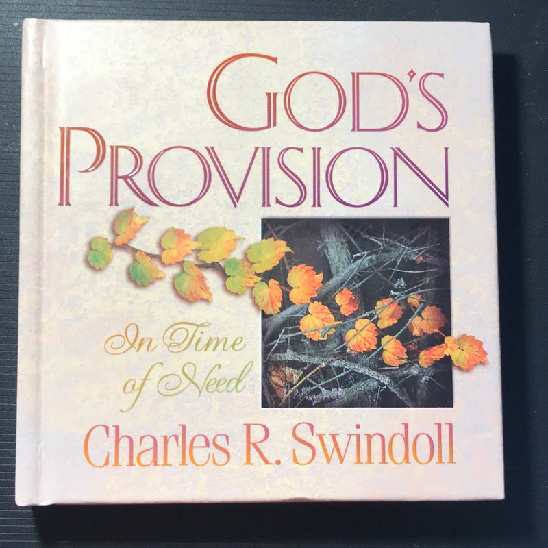God’s Provision 