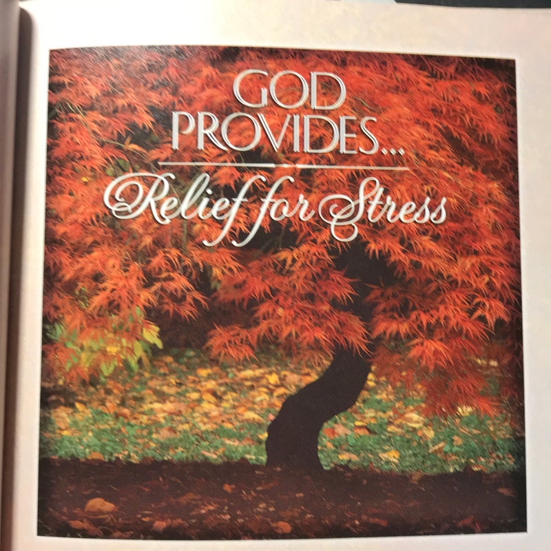 God’s Provision 