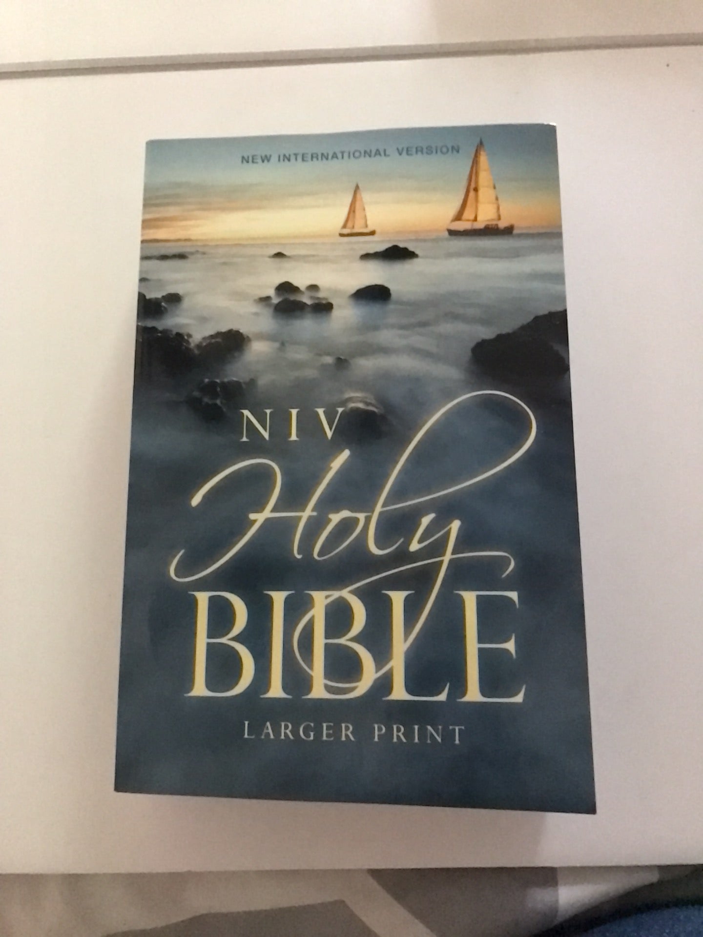 Niv Larger Print Bible