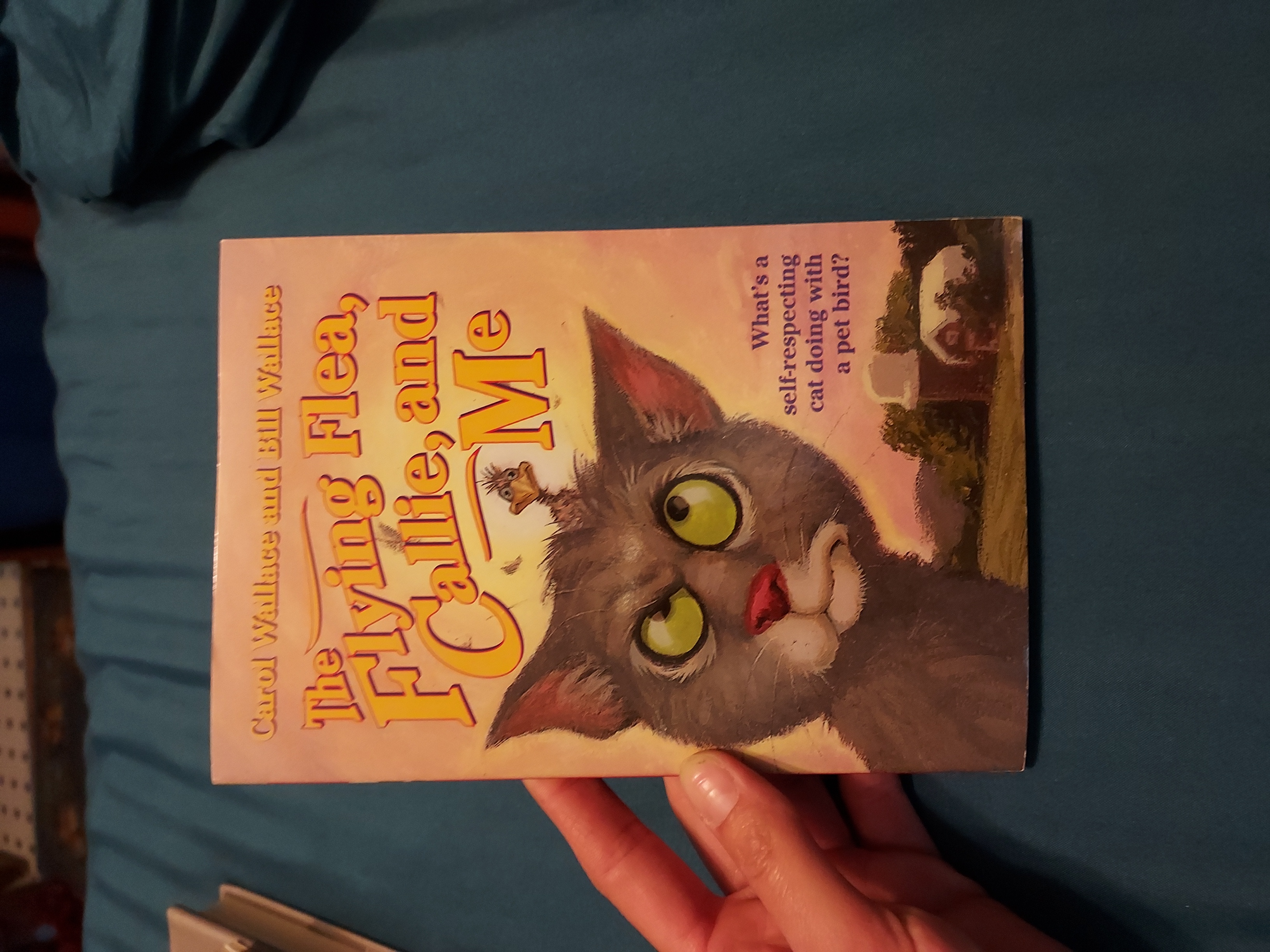 The Flying Flea, Callie, and Me