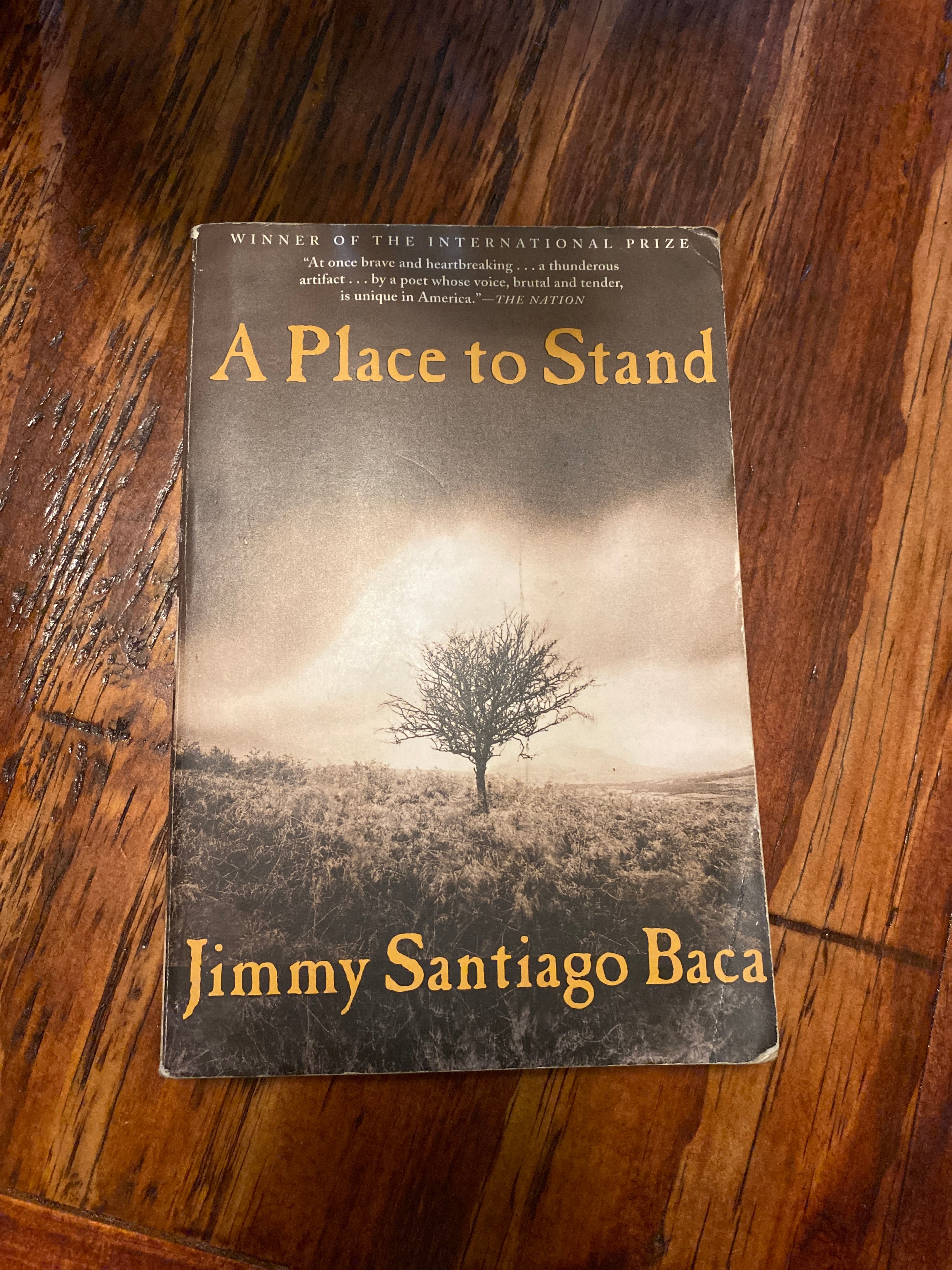 A Place to Stand