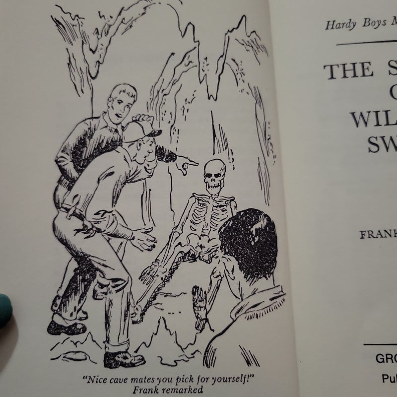 Hardy Boys 31: the Secret of Wildcat Swamp