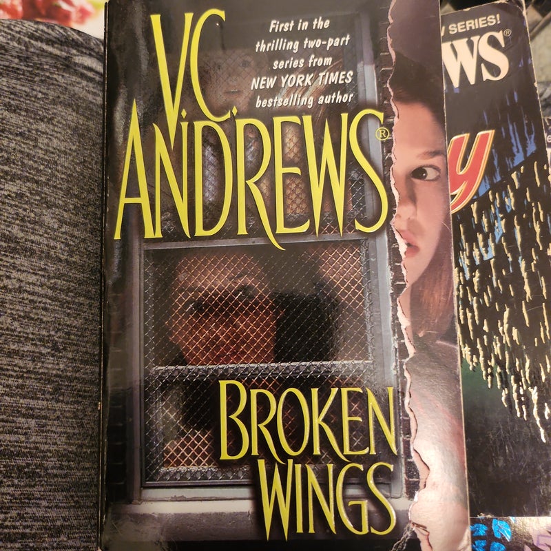 Broken Wings