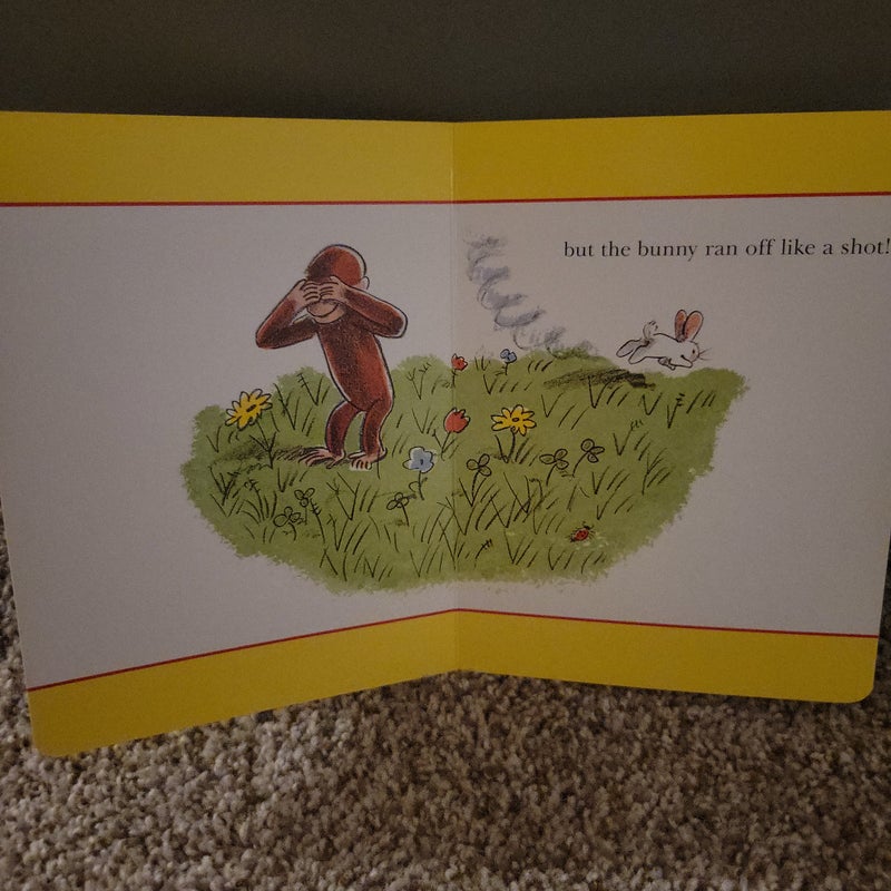 Curious George and the Bunny