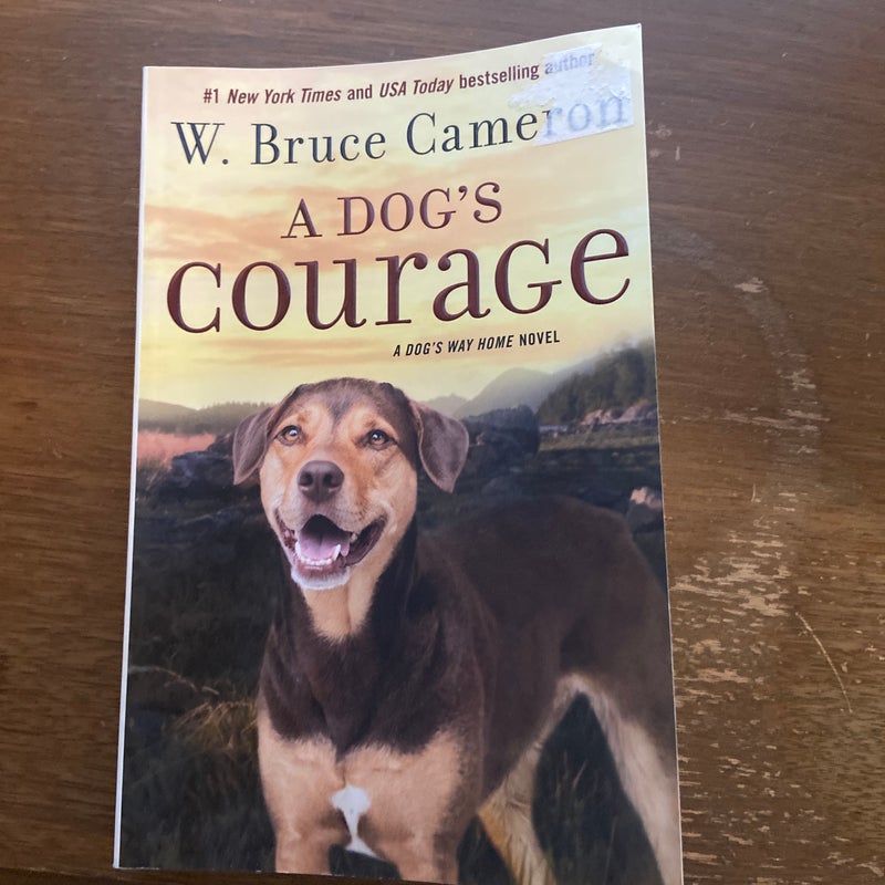 A Dog's Courage