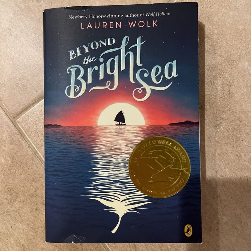 Beyond the Bright Sea