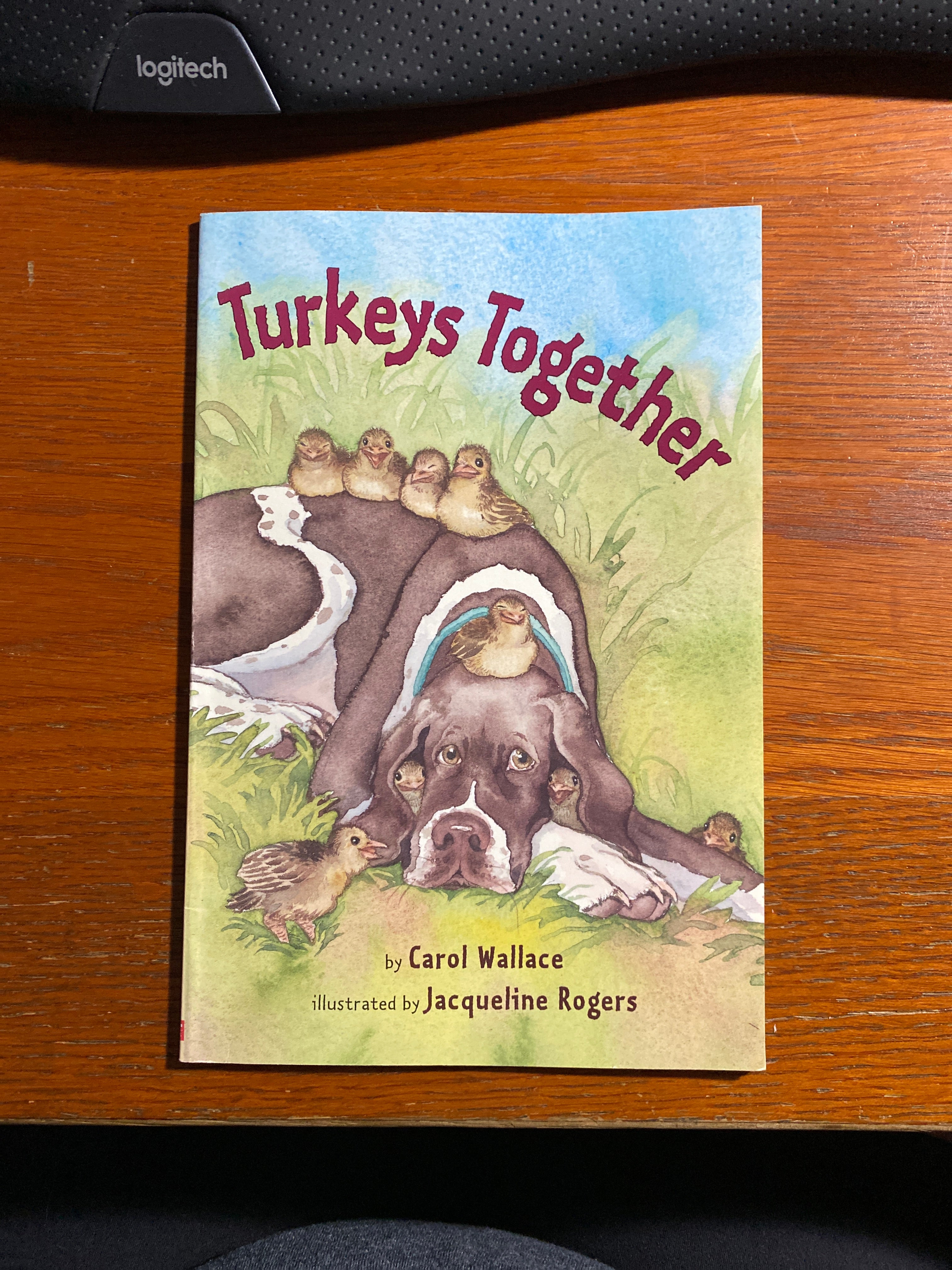 Turkeys Together