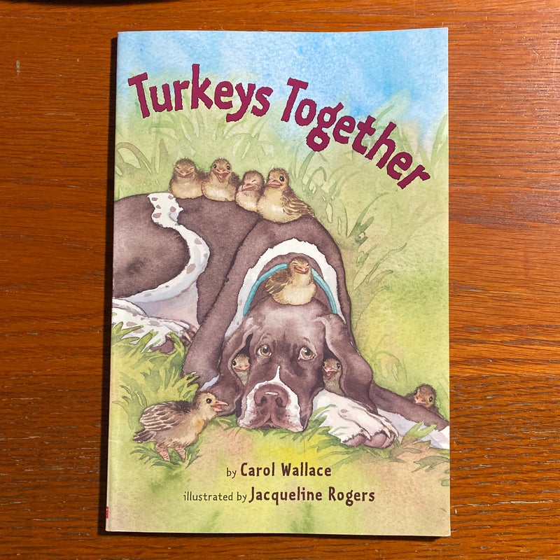 Turkeys Together