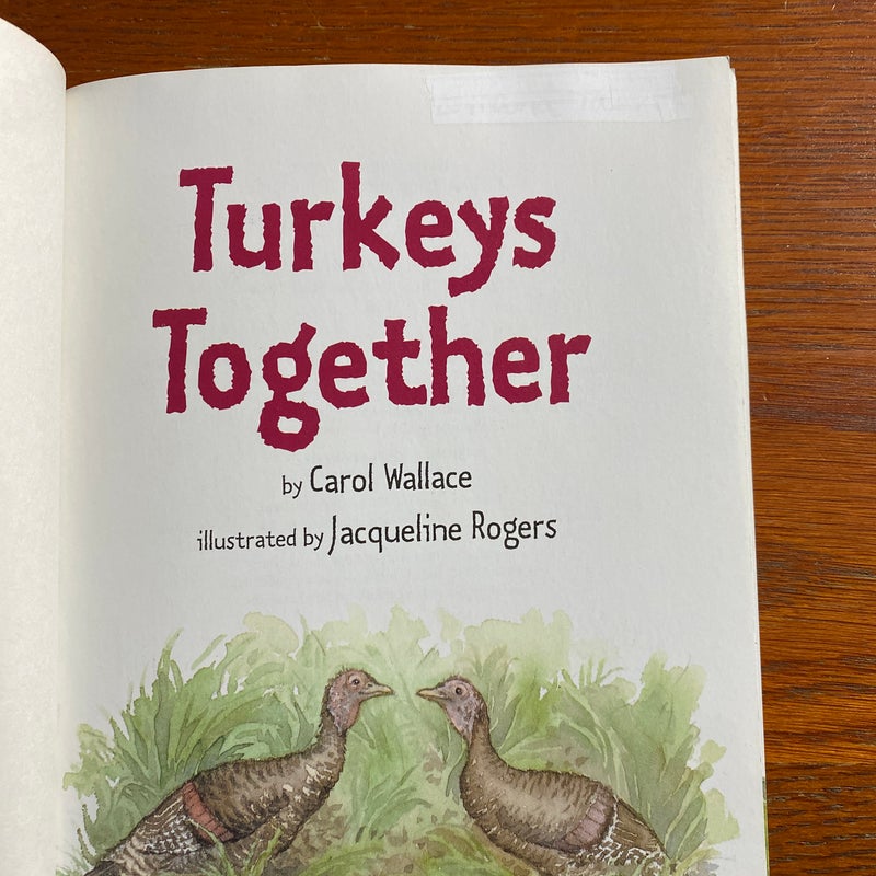 Turkeys Together
