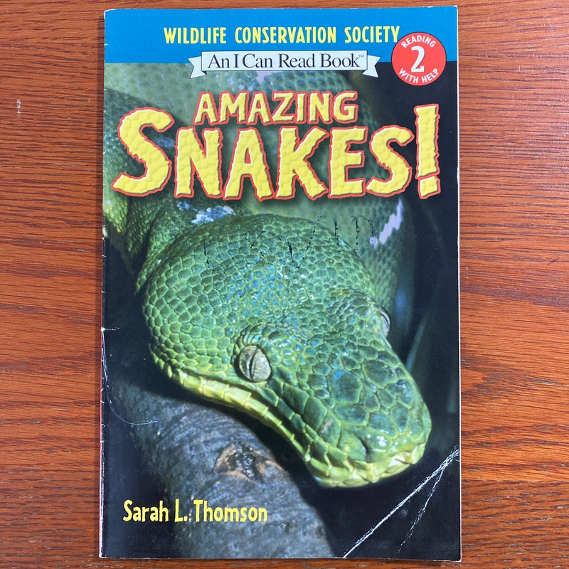 Amazing Snakes!