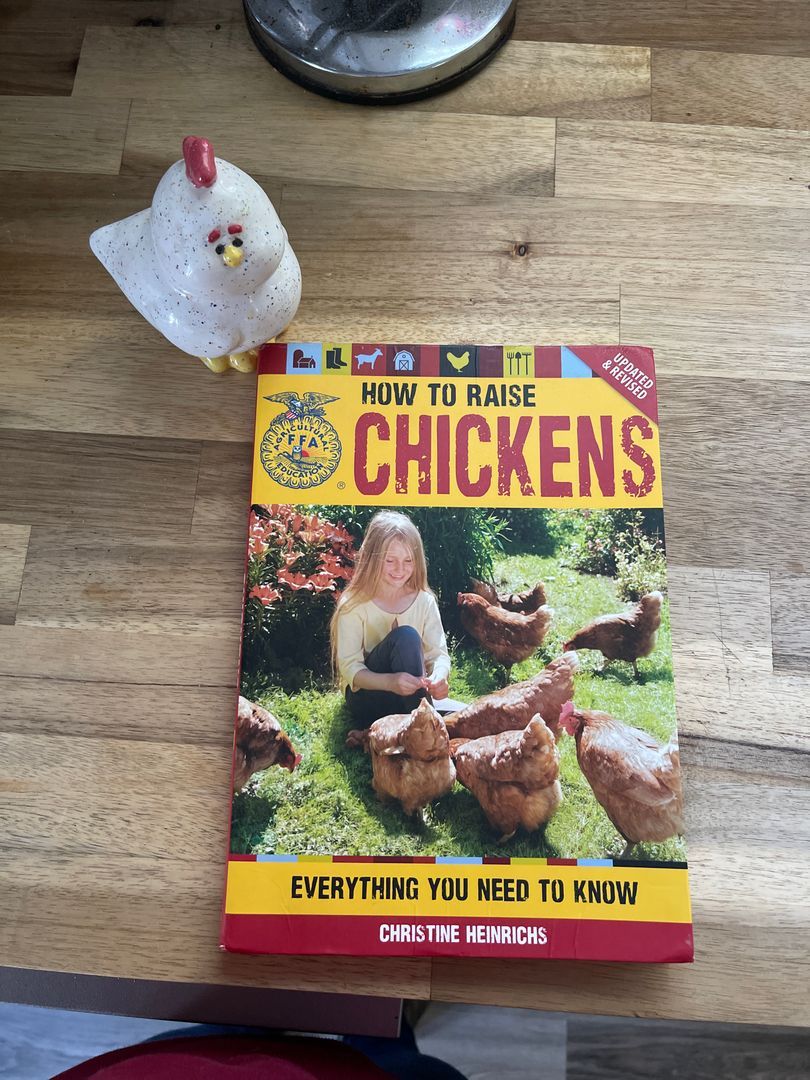 How to Raise Chickens