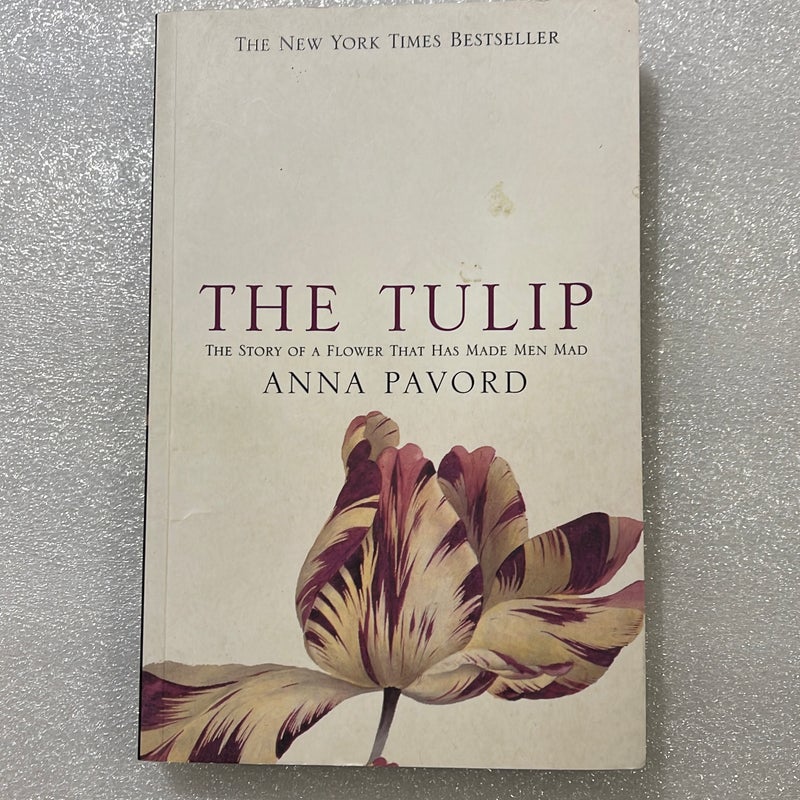 The Tulip