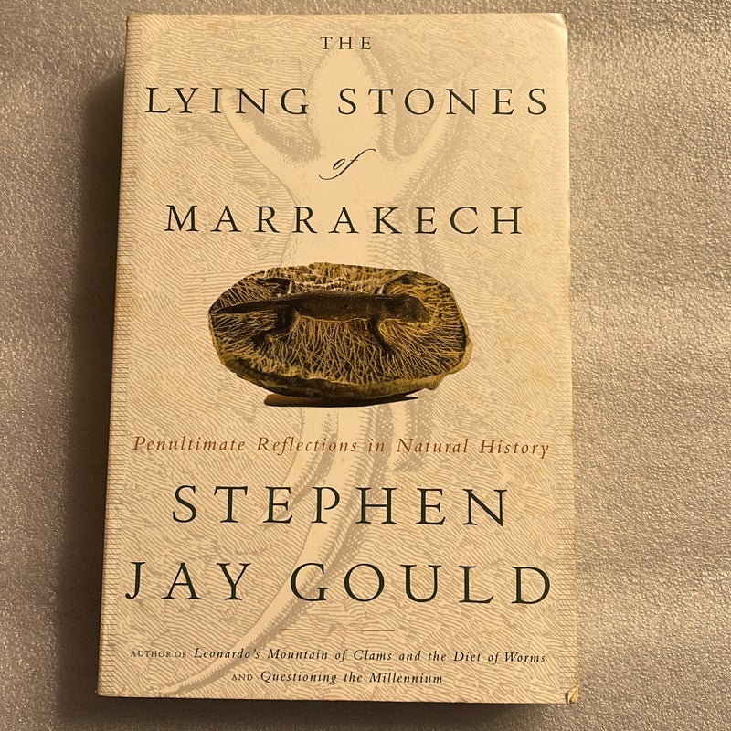 The Lying Stones of Marrakech by Stephen Jay Gould, Paperback | Pangobooks