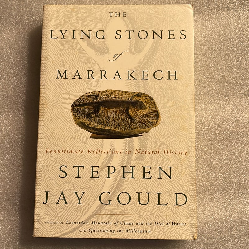 The Lying Stones of Marrakech by Stephen Jay Gould, Paperback | Pangobooks