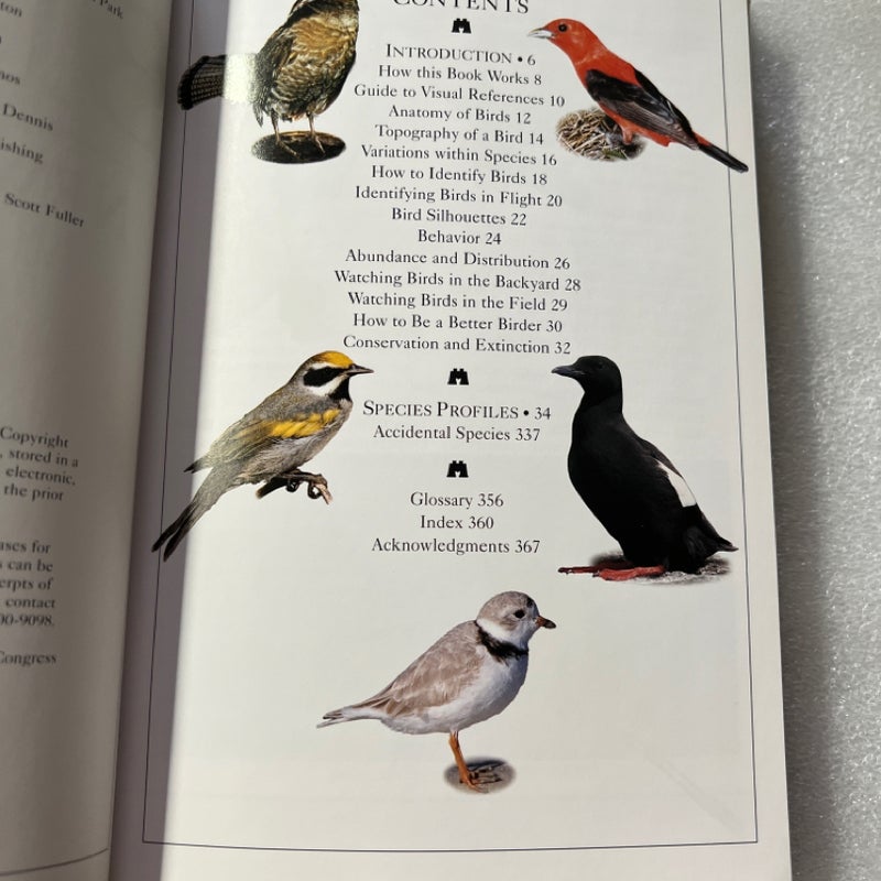 Birds of New England