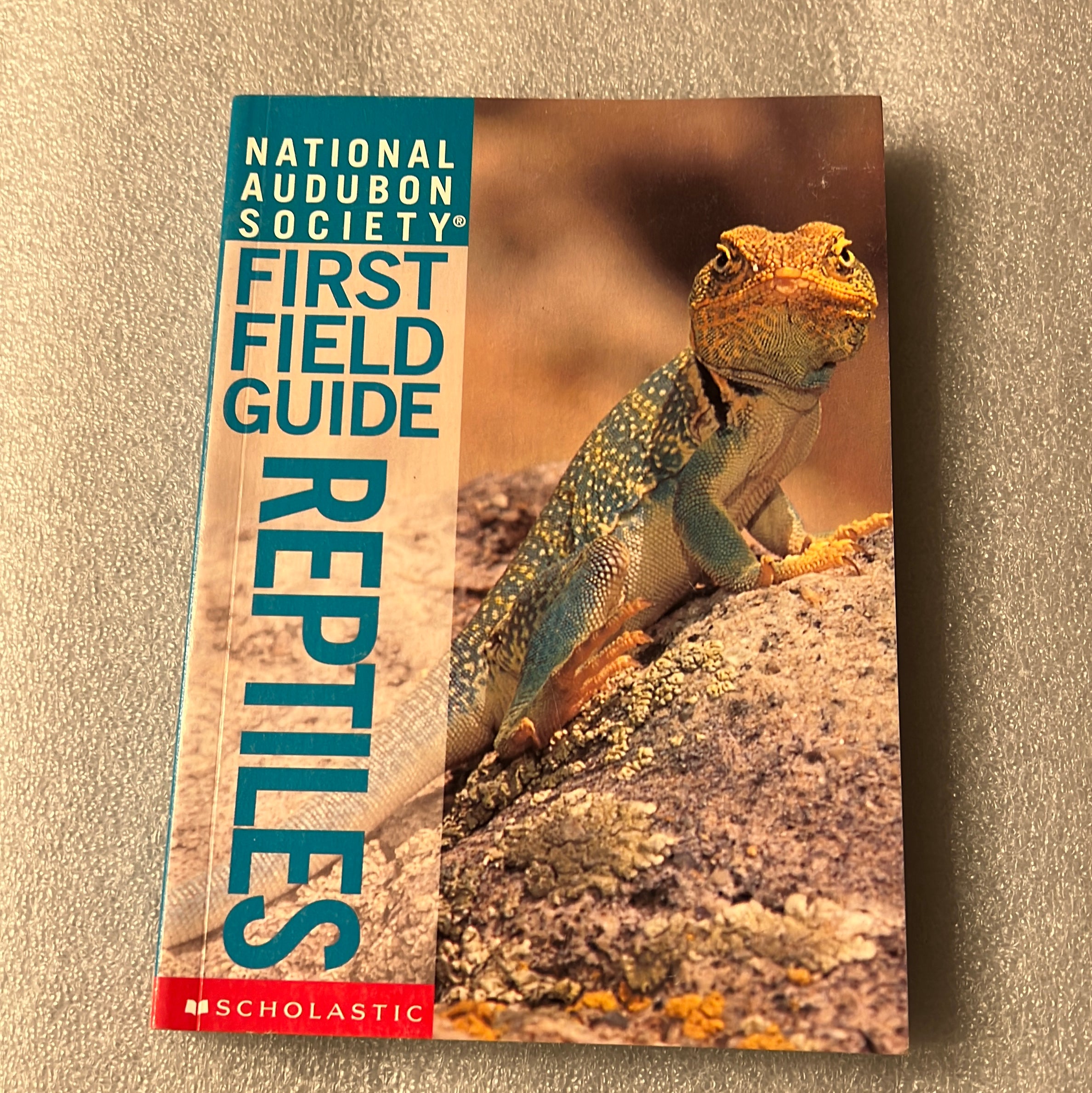 Reptiles