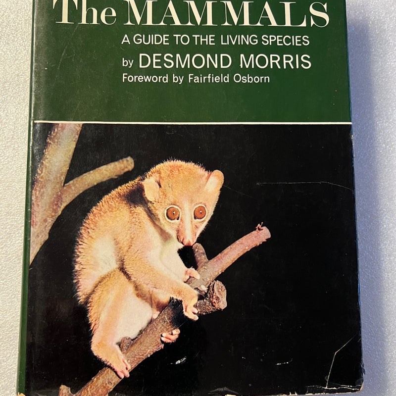 The Mammals