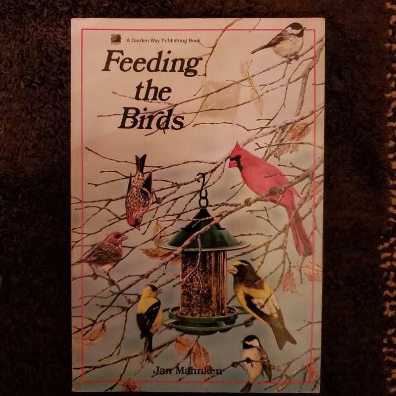 Feeding the Birds