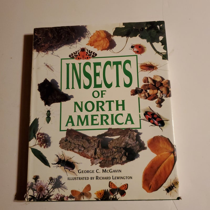 Insects of North America