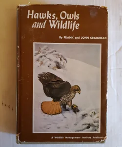 Hawks, Owls and Wildlife 