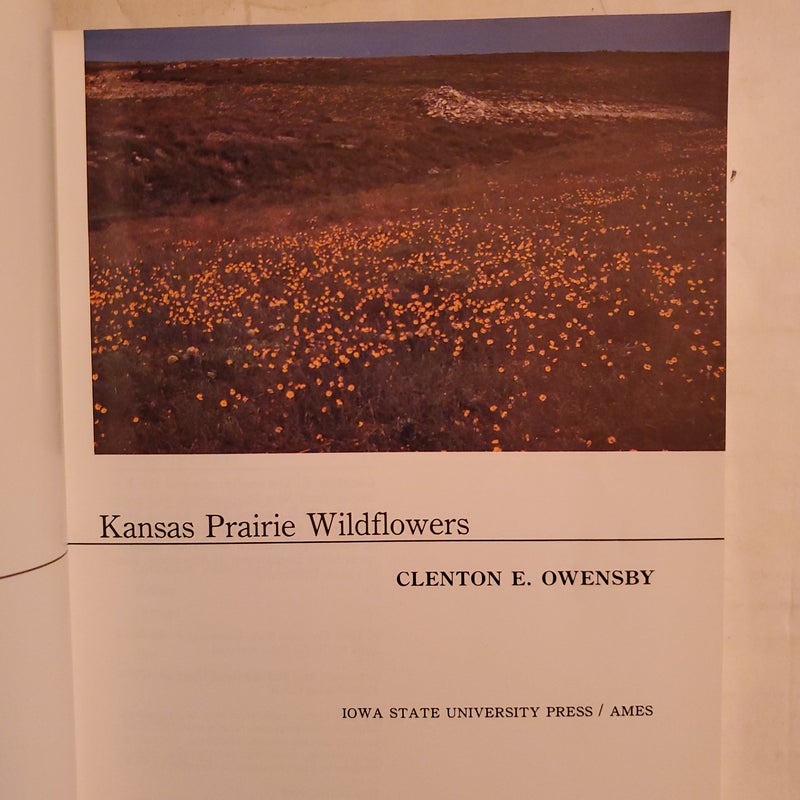 Kansas Prairie Wildflowers 