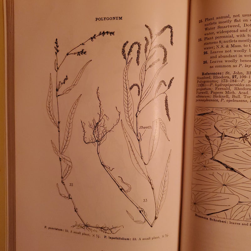 A Manual of Aquatic Plants