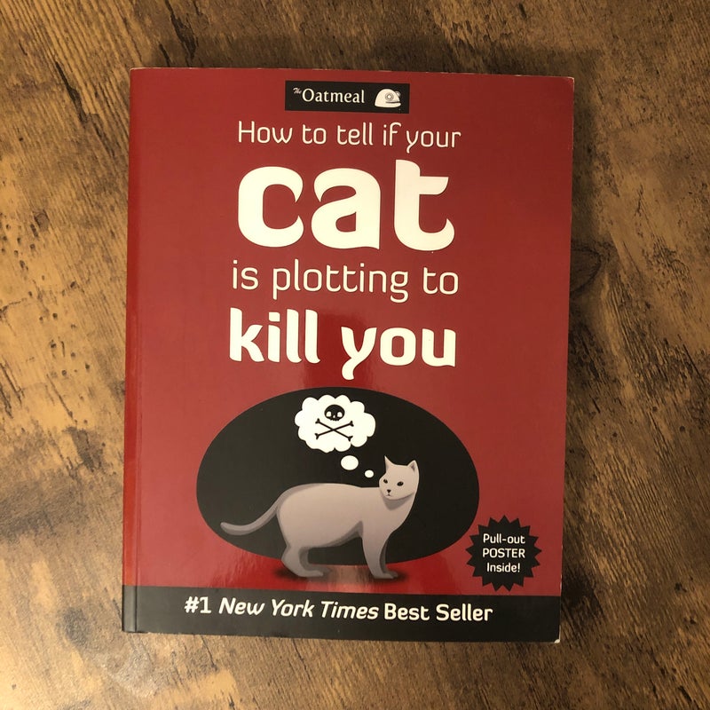 How to Tell If Your Cat Is Plotting to Kill You