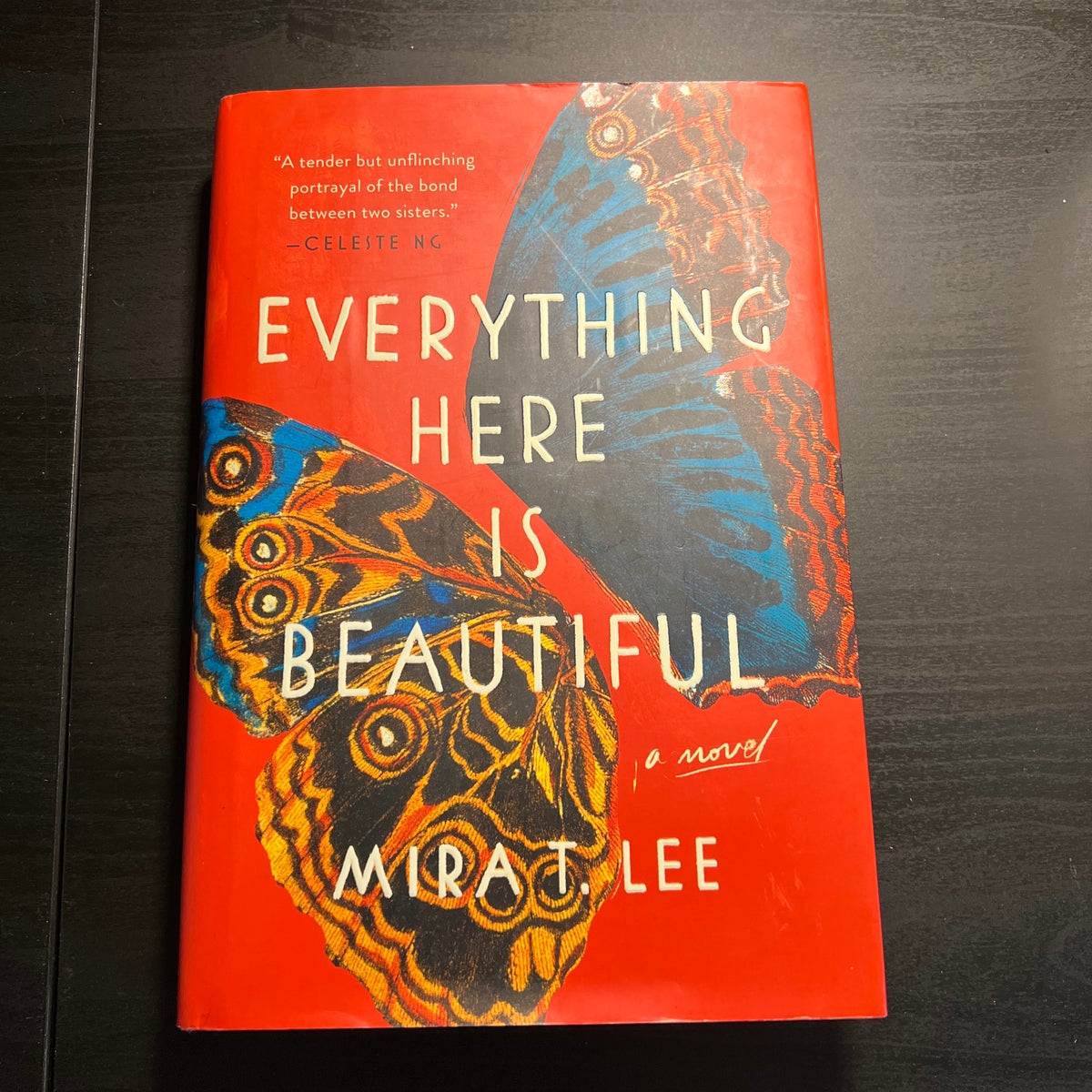 Everything Here Is Beautiful by Mira T. Lee, Hardcover Pangobooks