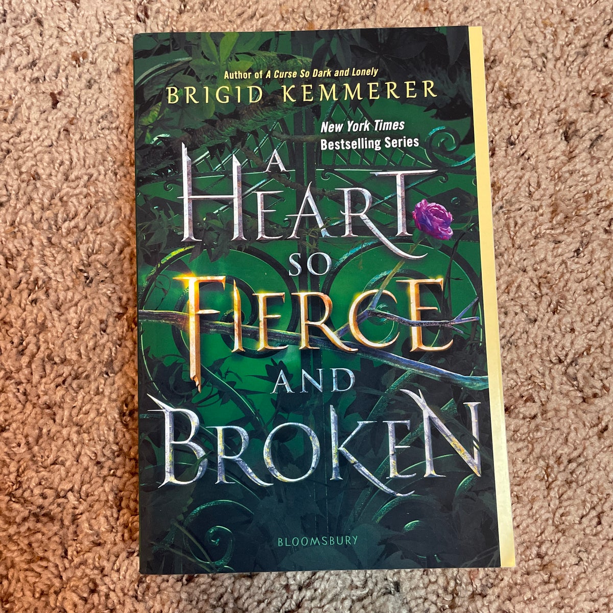 A Heart So Fierce and Broken by Brigid Kemmerer, Paperback | Pangobooks