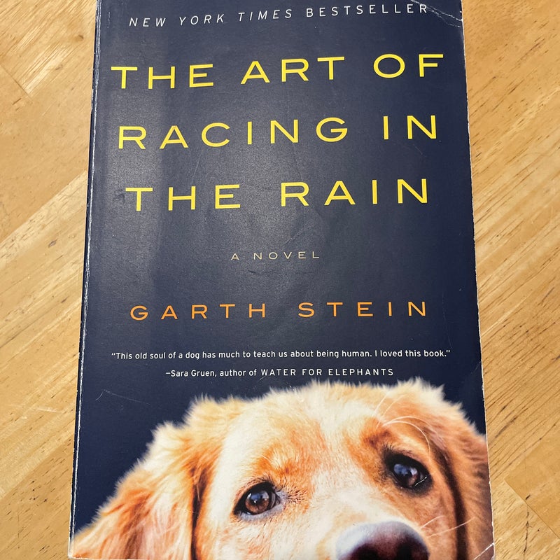 The Art of Racing in the Rain