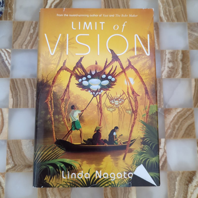 Limit of Vision