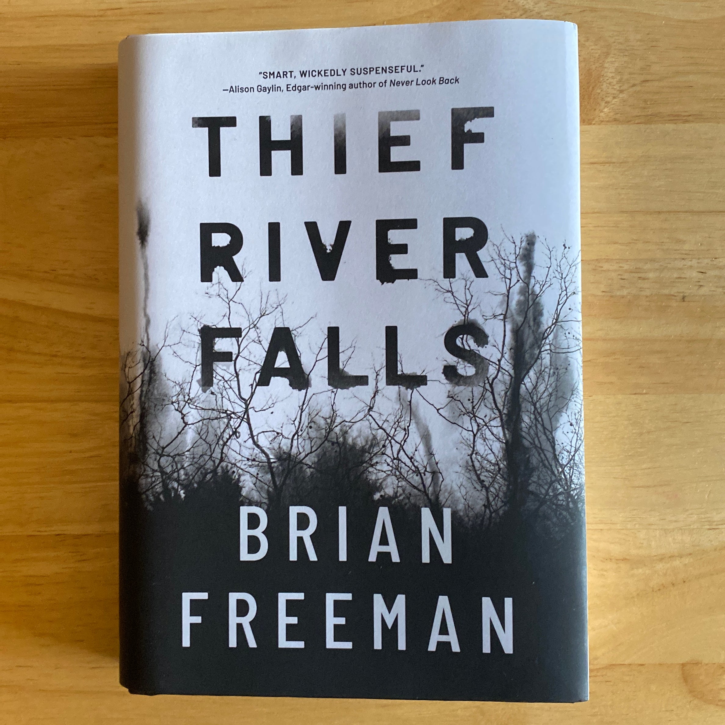 Thief River Falls