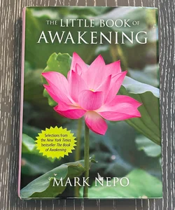 The Little Book of Awakening 