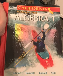 Holt Mcdougal Larson Algebra 1 California