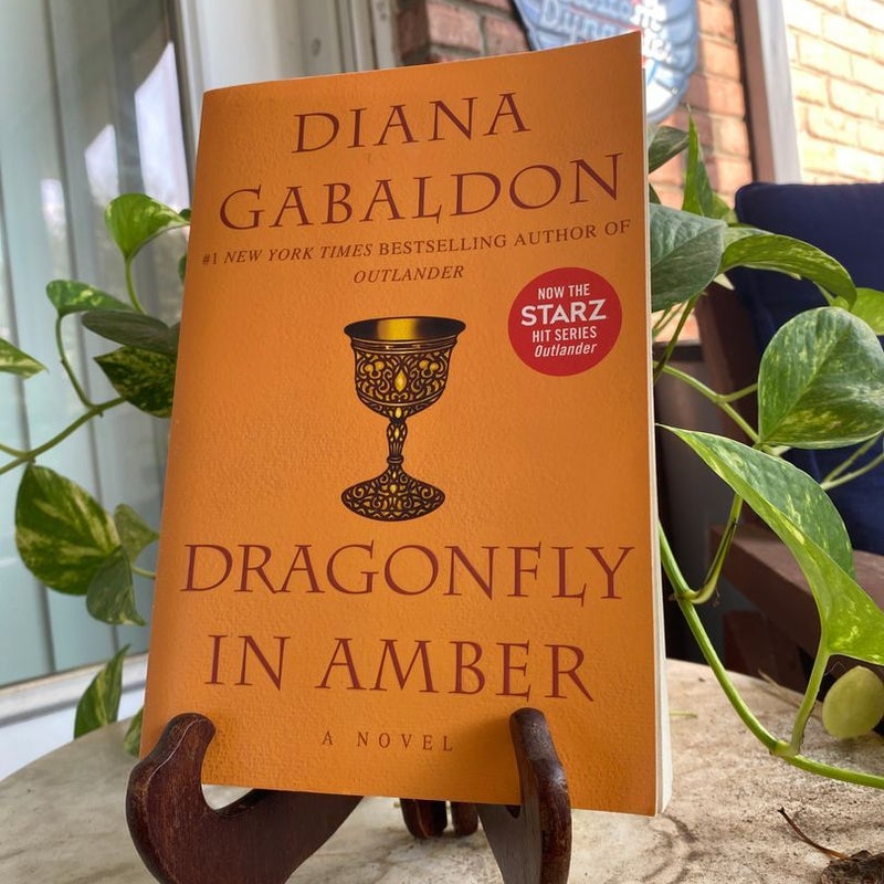 Dragonfly in Amber