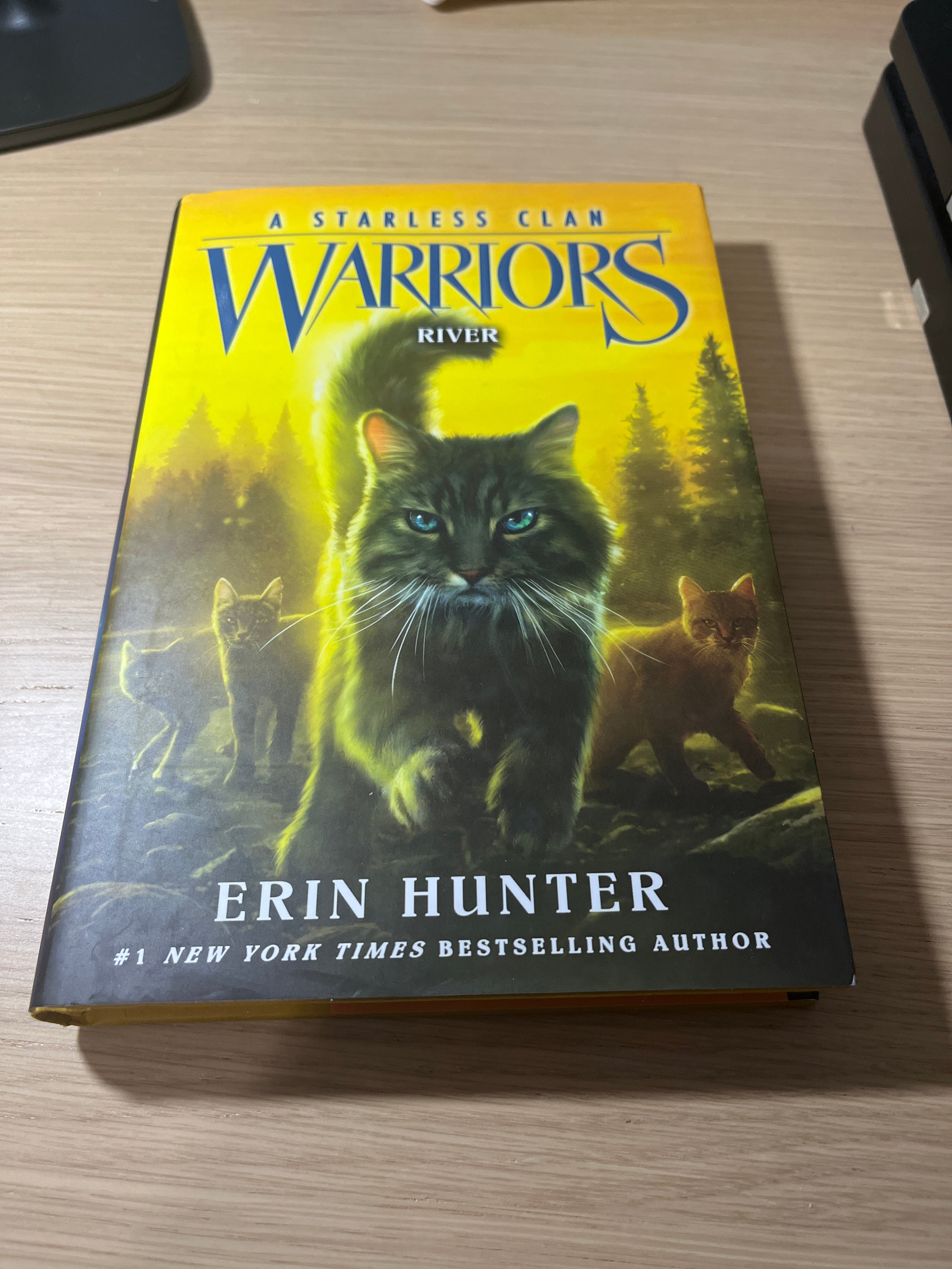 Warriors: a Starless Clan #1: River