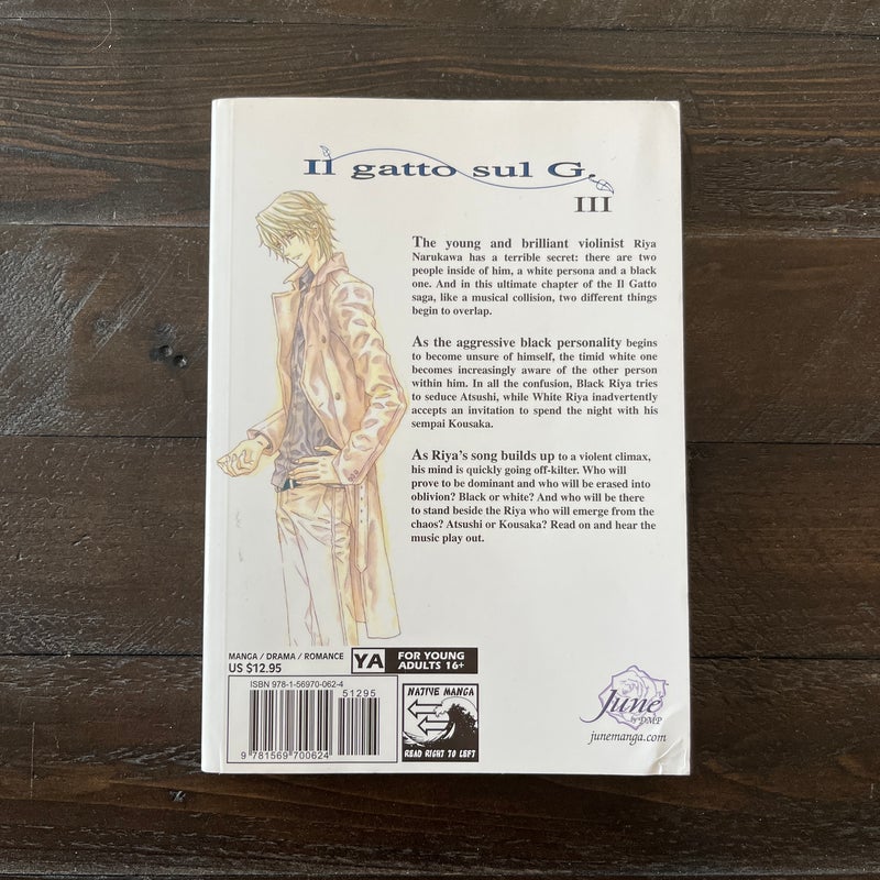 Il Gatto Sul G Volume 3 (Yaoi)