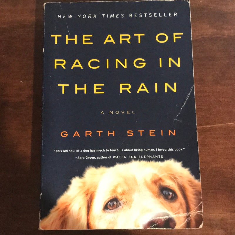 The Art of Racing in the Rain