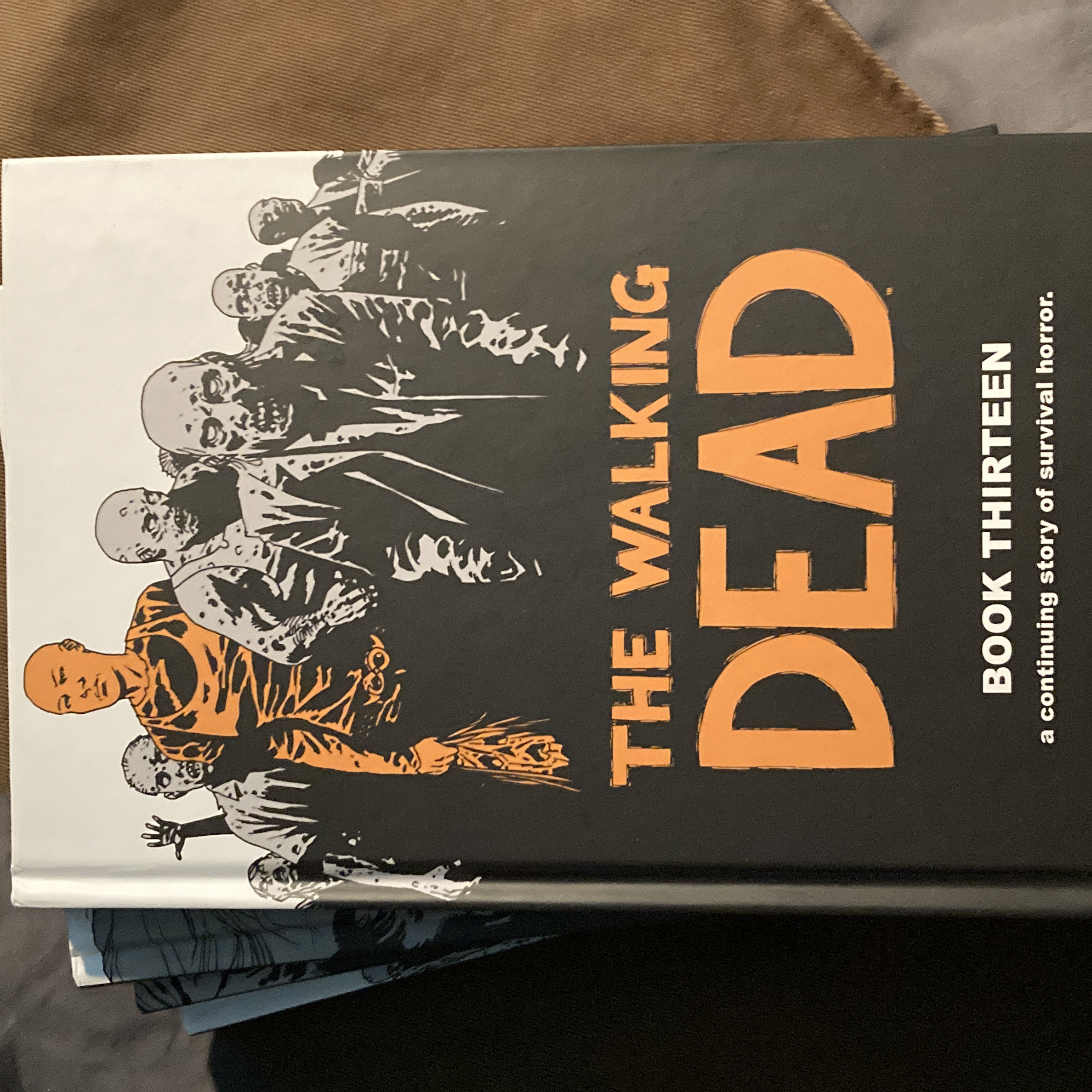 The Walking Dead Book 13