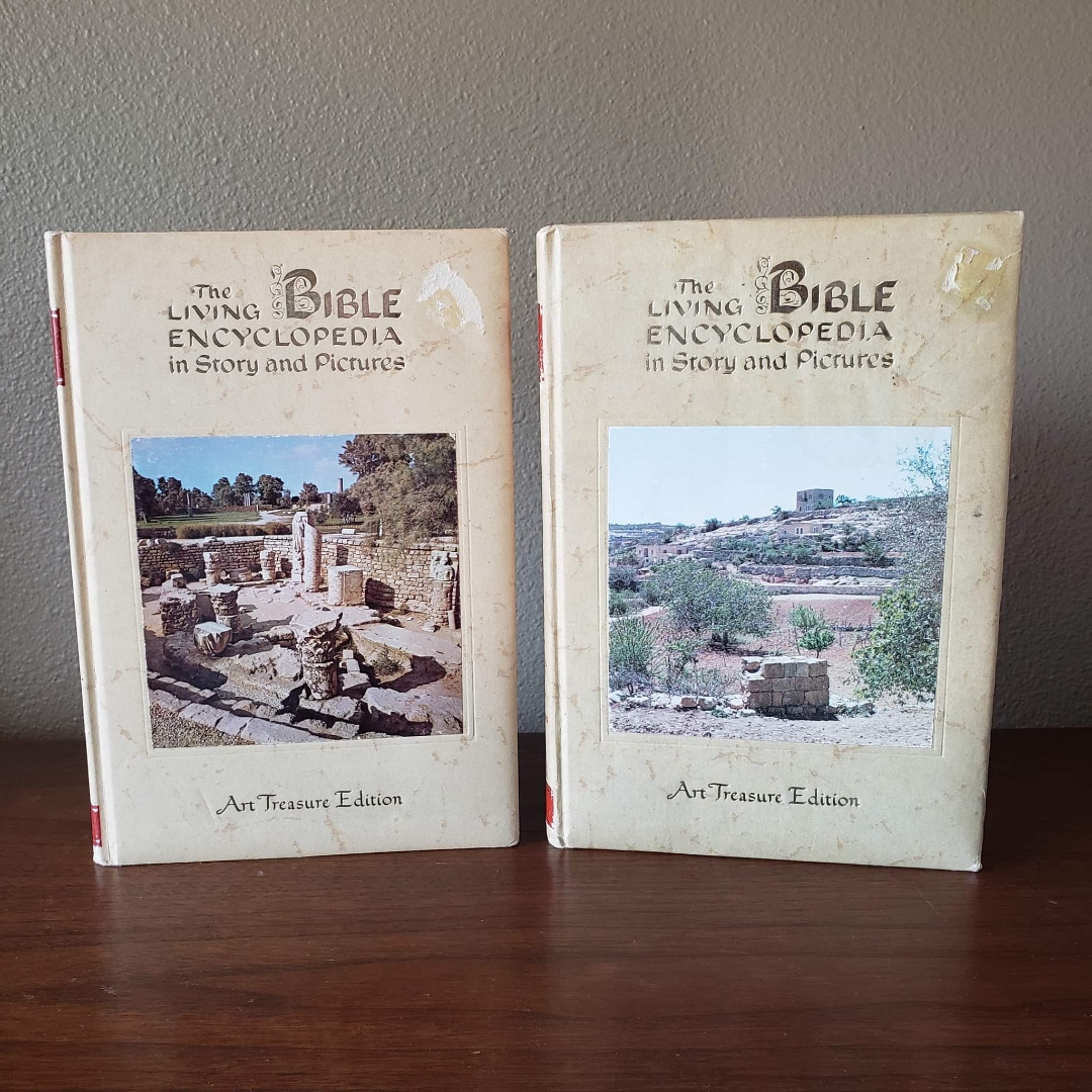 The Christmas Story from the Family Reading Bible